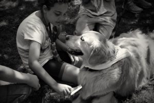A girl learns to brush a dog's fur