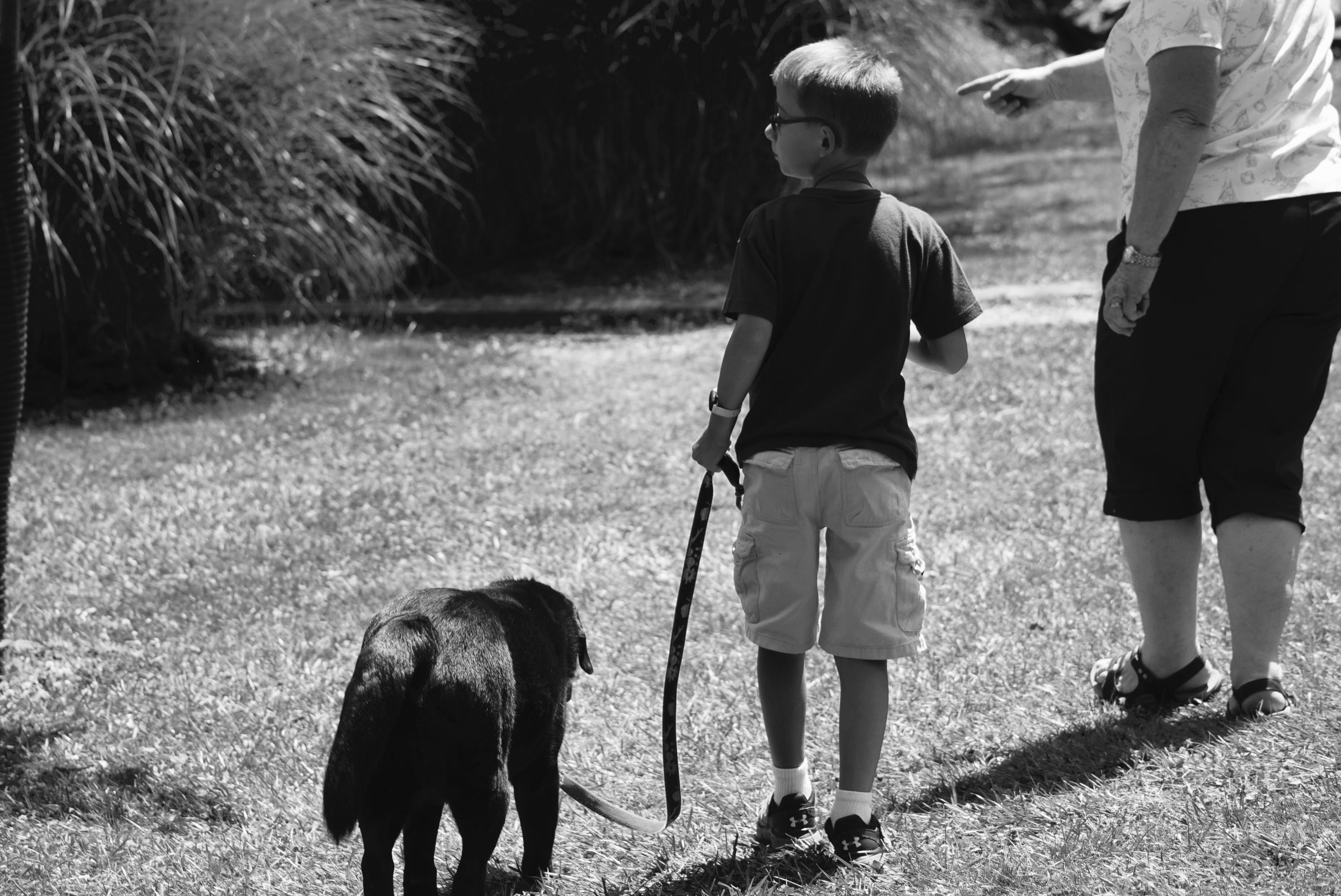 Nellie's Schoolhouse visits Camp Pegasus