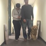 JCHAI resident & Tom Richards walking a dog