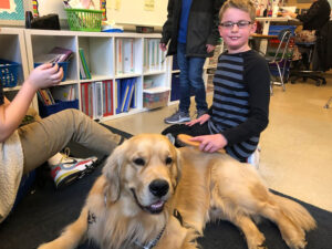 Golden dog with student