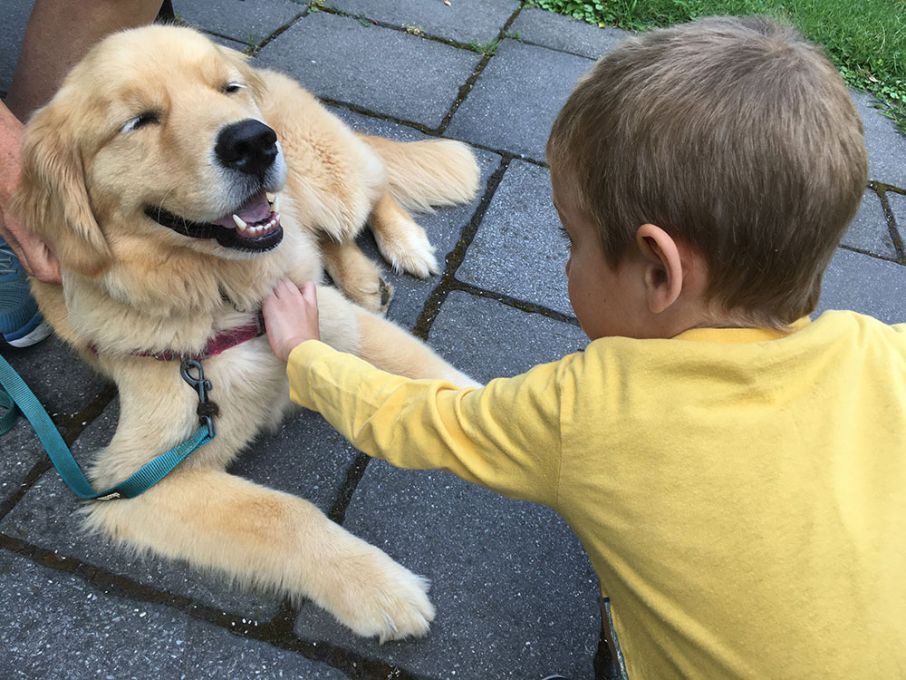 Aaron petting Zeke