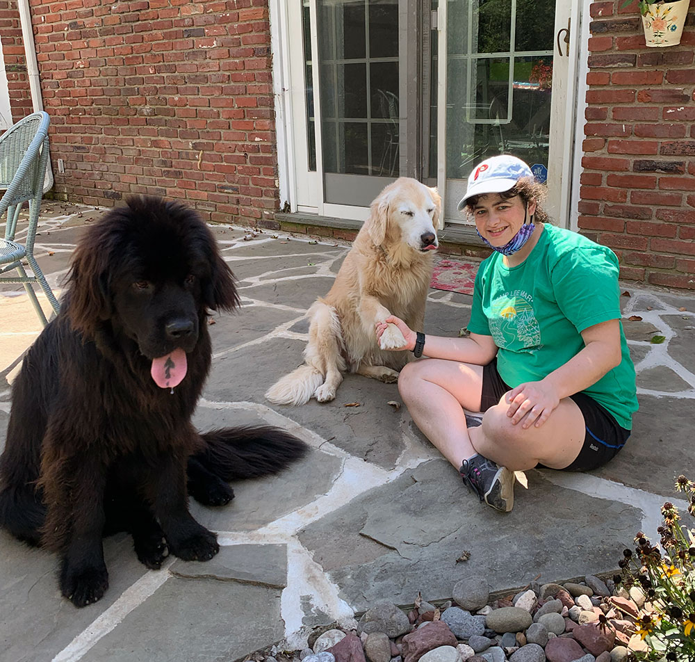 Nellie's Schoolhouse Dogs